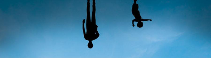 TIN_013 Life Animated_large